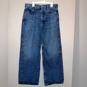 Agolde Women Low Slung Baggy Wide Leg Jeans